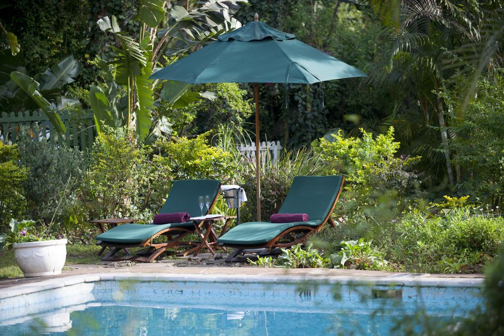 Hacklewood Hill Country House Port Elizabeth Eksteriør billede